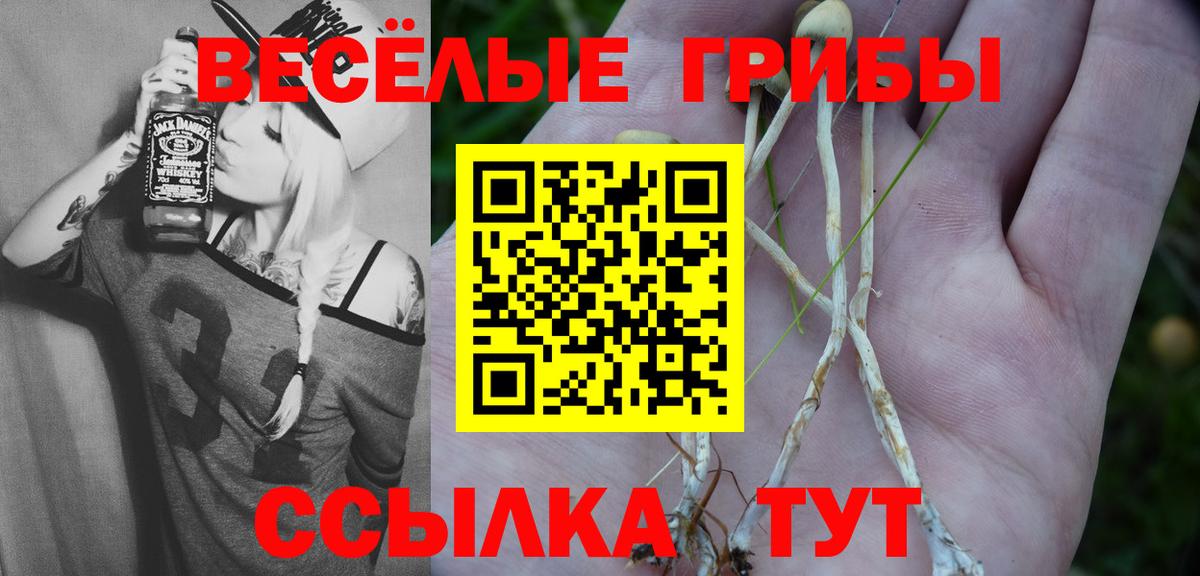 Псилоцибиновые грибы Psilocybe Воркута